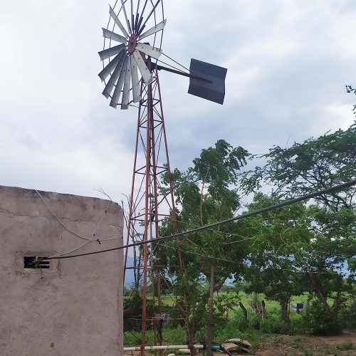 Molino